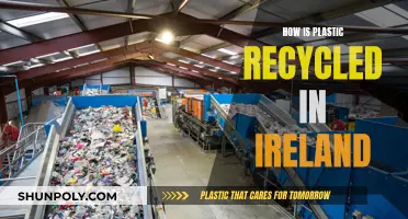 Ireland's Plastic Recycling Journey: From Collection to New Products