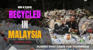 Malaysia's Plastic Recycling Journey: Processes and Challenges