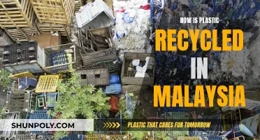 Malaysia's Plastic Recycling: A Comprehensive Overview