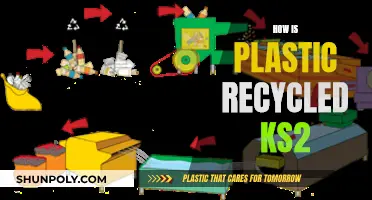 Plastic Recycling: A Simple Guide for Kids