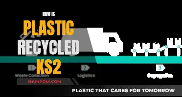The Plastic Recycling Process Explained for Kids