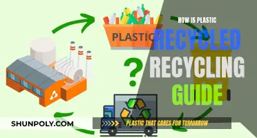 Mastering Plastic Recycling: A Comprehensive Guide to Sustainable Practices