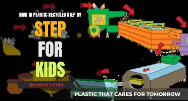 Plastic Recycling: A Fun Guide for Kids! Uncover the Magic!