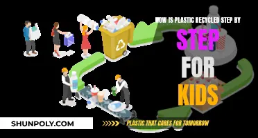 The Magic of Recycling Plastic: Step-by-Step for Young Change-Makers