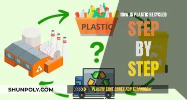 Transforming Plastic Waste: A Comprehensive Guide to Recycling Process