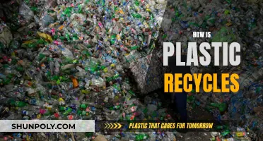 Transforming Plastic Waste: The Journey of Recycling