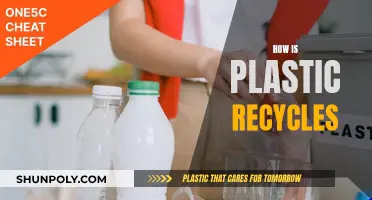The Complex Process of Plastic Recycling