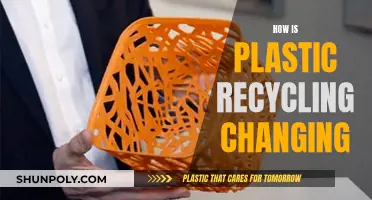 The Evolution of Plastic Recycling: A Sustainable Revolution