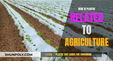Plastic's Impact on Agriculture: Understanding the Complex Relationship
