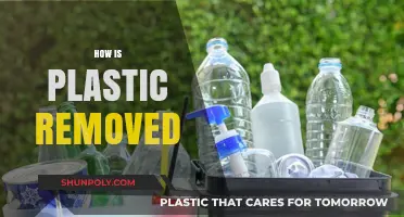 Effective Methods for Removing Plastic Waste from the Environment