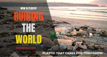 Plastic's Toxic Legacy: Ruining Our World