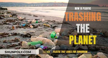 Plastic Pollution: Trashing Our Planet, Our Future