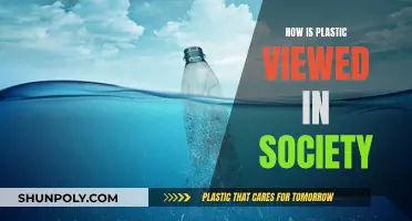 The Plastic Paradox: Society's Double-Edged View