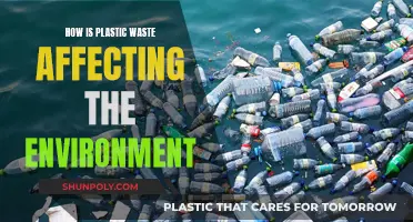 Plastic Pollution: Devastating Impact on Our Environment