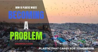 Plastic Pollution: An Ever-growing Global Crisis