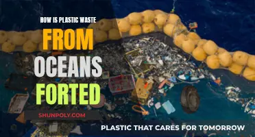 Cleaning Our Oceans: Fortifying Plastic Waste