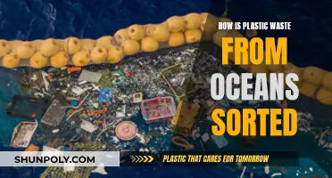 Sorting Ocean Plastic: How Is It Done?