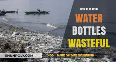 The Hidden Waste: Why Plastic Water Bottles Harm Our Planet