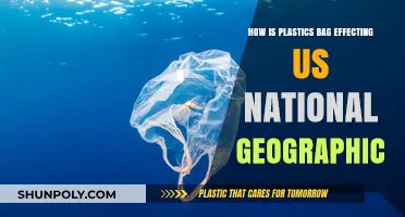 Plastic Bag Pollution: National Geographic's Insight on Environmental Impact