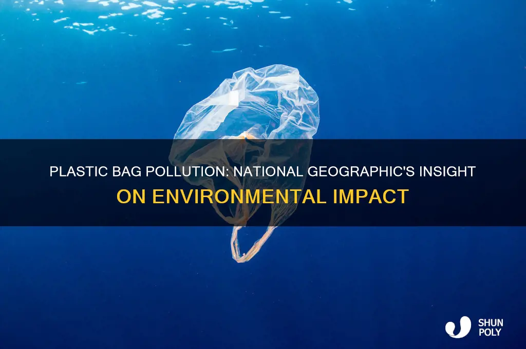 how is plastics bag effecting us national geographic