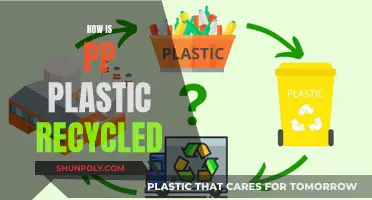 Unraveling the Process: How PP Plastic is Recycled