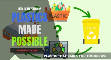 Unraveling the Magic: How Recycling Transforms Plastic Waste