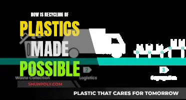 The Green Revolution: Recycling Plastics for a Sustainable Future