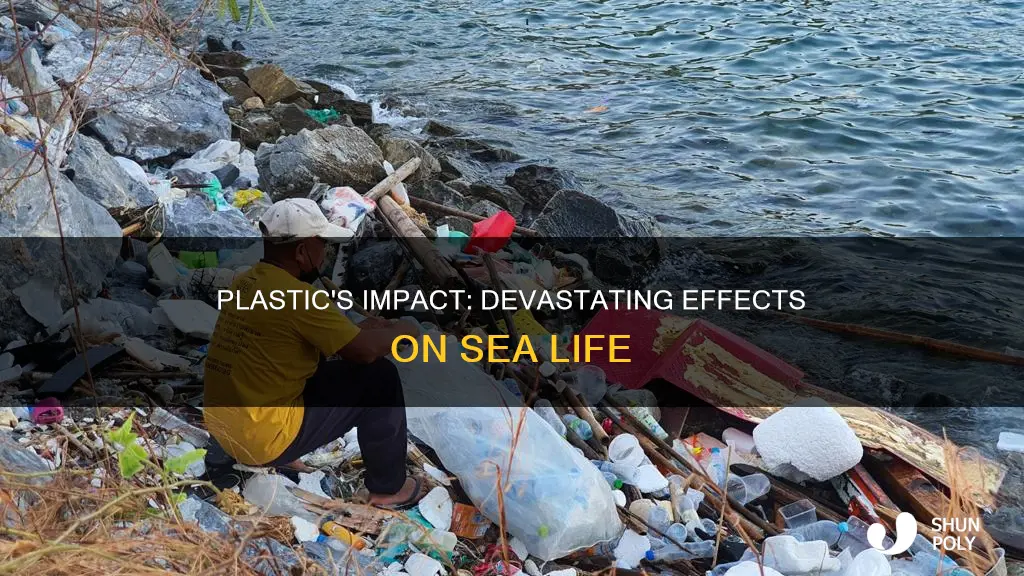 how is sea life affected by plastic