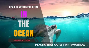 Unraveling the Crisis: How Plastic Floods Our Oceans Daily