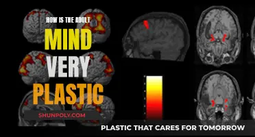 The Adult Mind: Highly Malleable and Adaptable