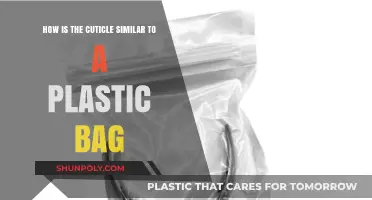 Cuticles and Plastic Bags: Unlikely Parallels in Protection and Function