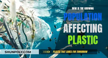 The Impact of Population Growth on Plastic Pollution