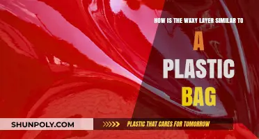Waxy Layer vs. Plastic Bag: Surprising Similarities in Nature's Design