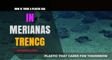 Plastic Bag Mystery: Unraveling the Mariana Trench Discovery
