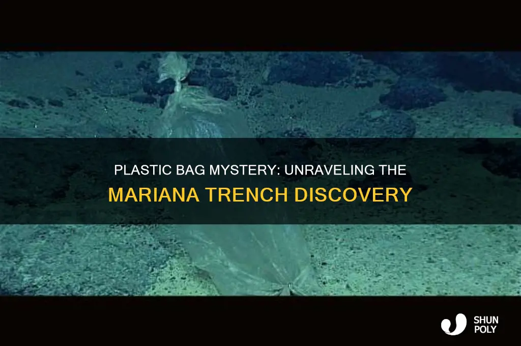 how is there a plastic bag in merianas trencg