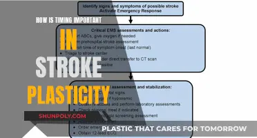 Stroke Recovery: Timing and Brain Plasticity