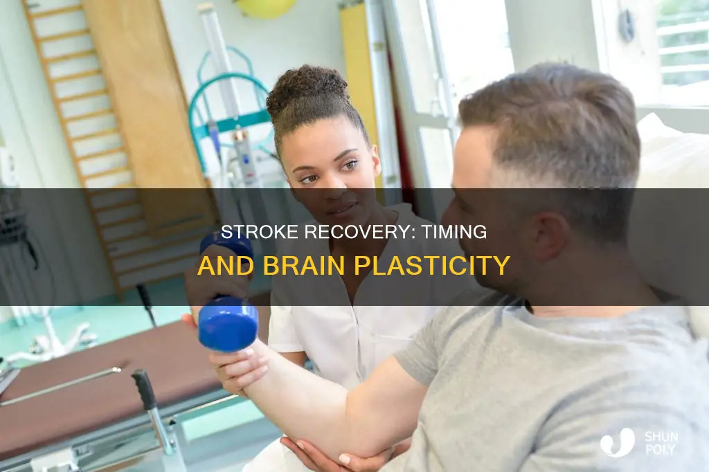 how is timing important in stroke plasticity