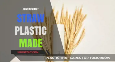 From Field to Factory: The Journey of Wheat Straw into Plastic