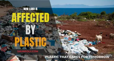 Plastic Pollution: Land Degradation and its Impact