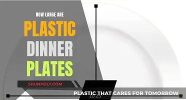 Dinner Plates: Understanding Plastic Plate Dimensions