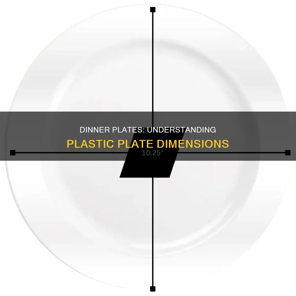 how large are plastic dinner plates