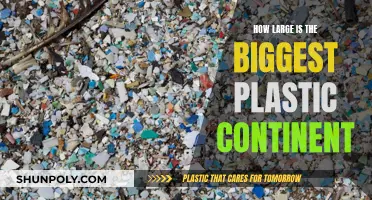 Plastic Continents: How Big Is the Damage?