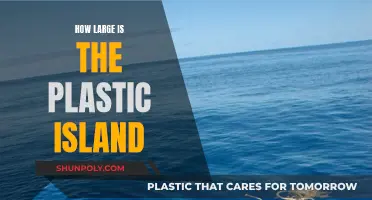 The Plastic Island: A Massive, Growing Problem
