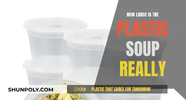 Plastic Soup: A Global Problem of Huge Proportions