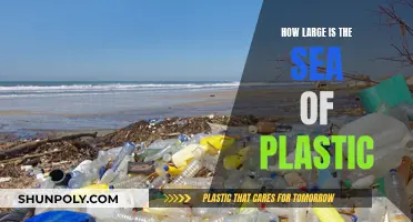 The Plastic Crisis: Ocean Pollution's Dire State