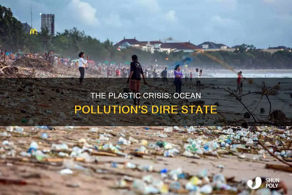 how large is the sea of plastic
