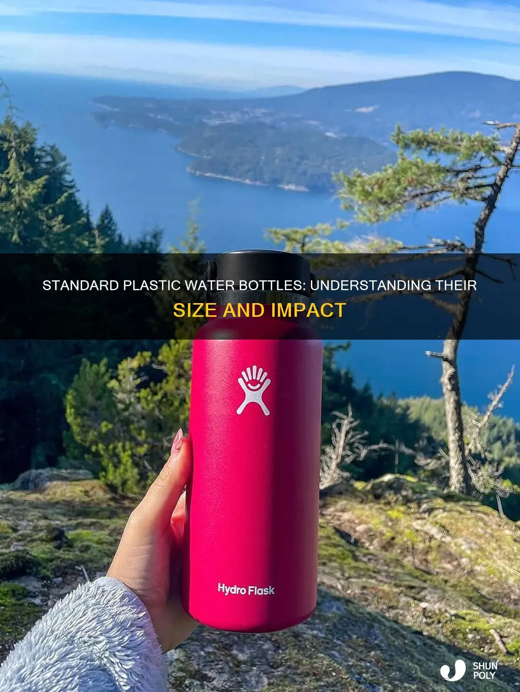how large is the standard plastic waterbottle