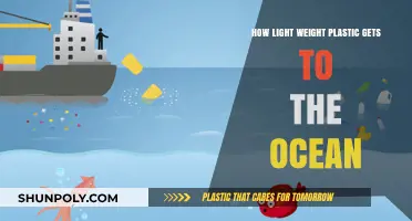 How Lightweight Plastics Travel from Land to Ocean Waters