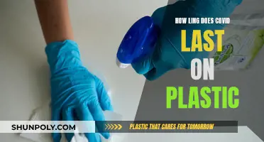 COVID-19: How Long Does It Survive on Plastic Surfaces?