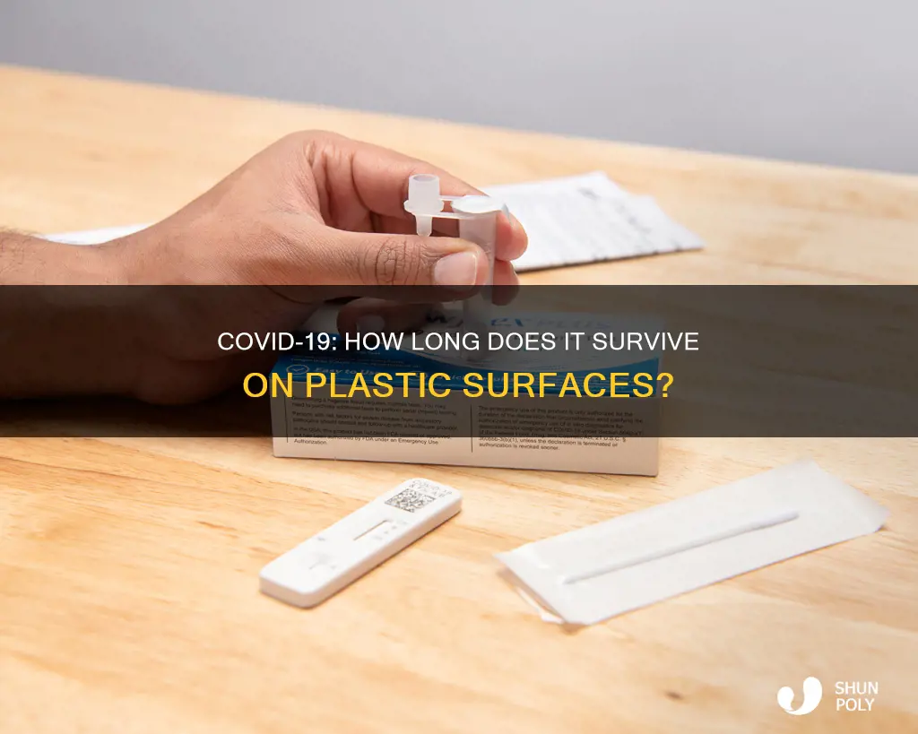 how ling does covid last on plastic